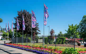 Riverwood welcome flags along street