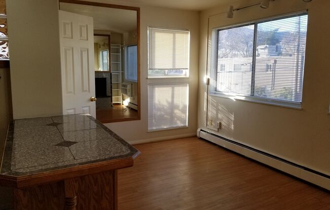 1 bed, 1 bath, 500 sqft, $1,645, Unit 306