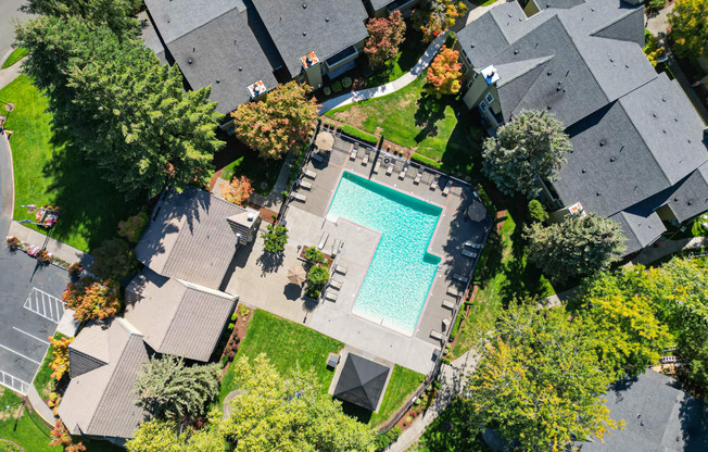 arial view of a swimming pool in a neighborhood with houses and trees