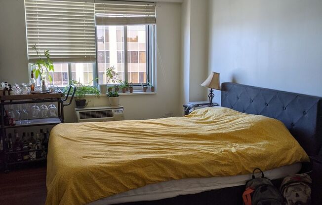 1 bed, 1 bath, 570 sqft, $2,950, Unit 1702