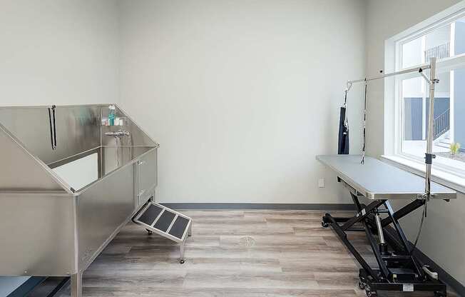 pet washing station with a stainless steel table and a window.