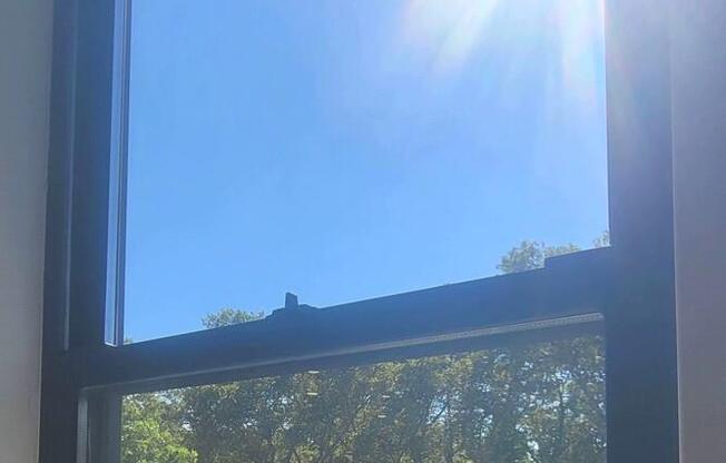 1 bed, 1 bath, $5,500, Unit 4F