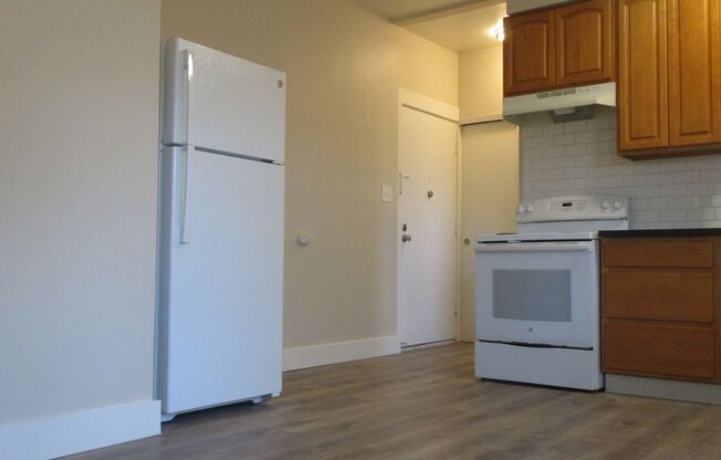1 bed, 1 bath, 500 sqft, $1,425, Unit 4500-10