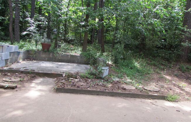 Cozy 2 Bed/ 1 Bath Two Story Townhome - Close To Bellingham Park