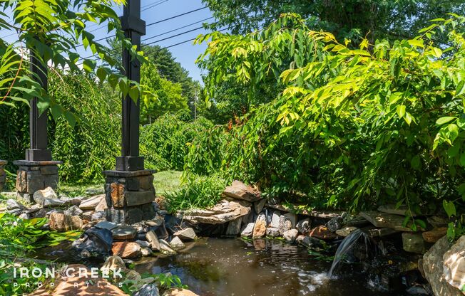 Beautifully Updated Three-Bedroom with Koi Pond & Gourmet Kitchen in West Asheville