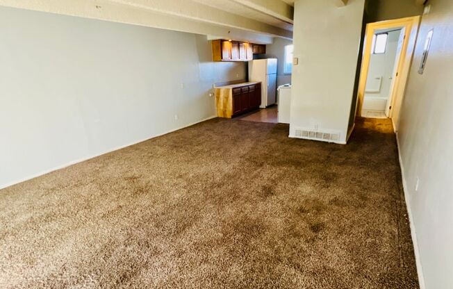 Studio Apartment in Denver - Ground Level - Move-In Special
