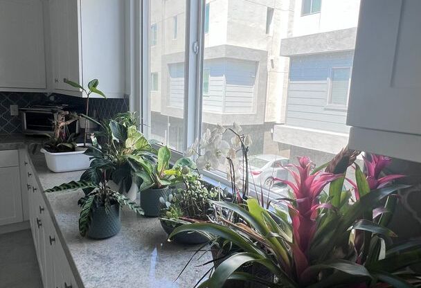 Move in special! $500 off first months rent!