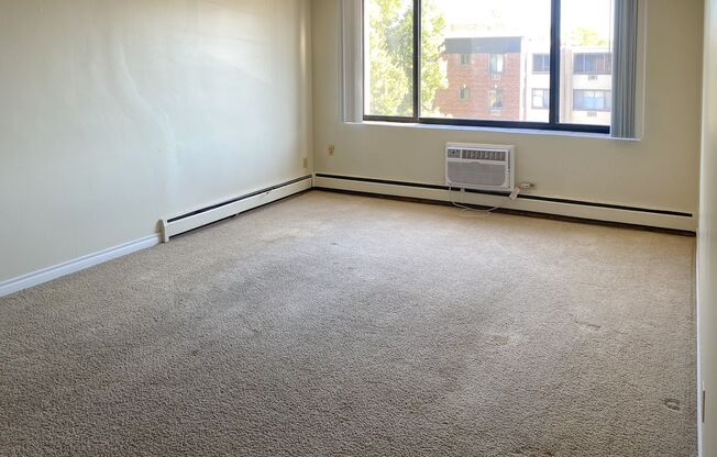 1 bed, 1 bath, 650 sqft, $1,245, Unit 3028404