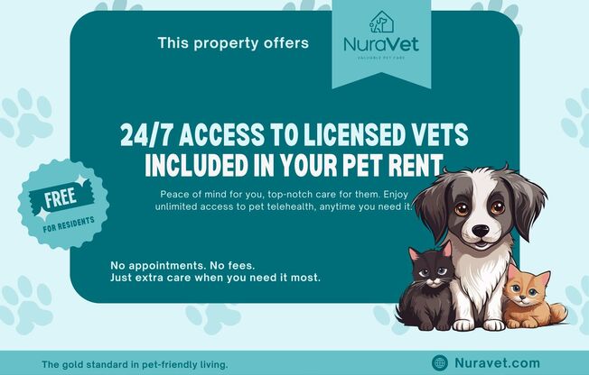 Pet Friendly