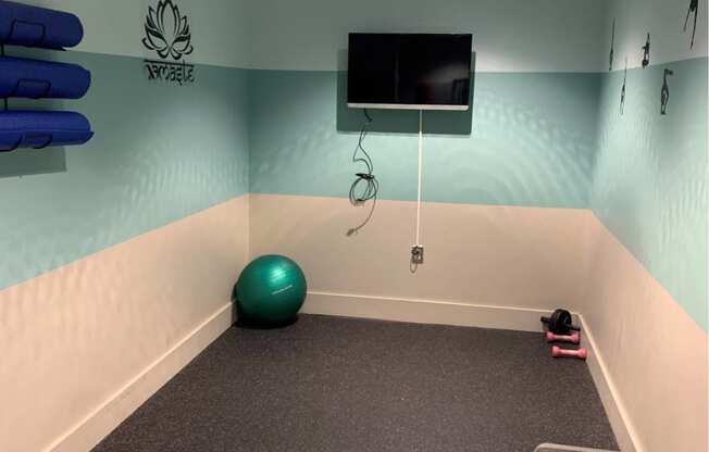 a workout room in a gym with a tv and a yoga ball