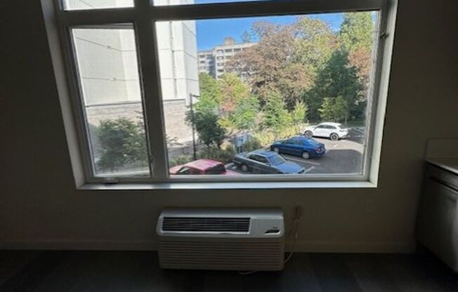 Studio, 1 bath, 432 sqft, $1,299, Unit 208