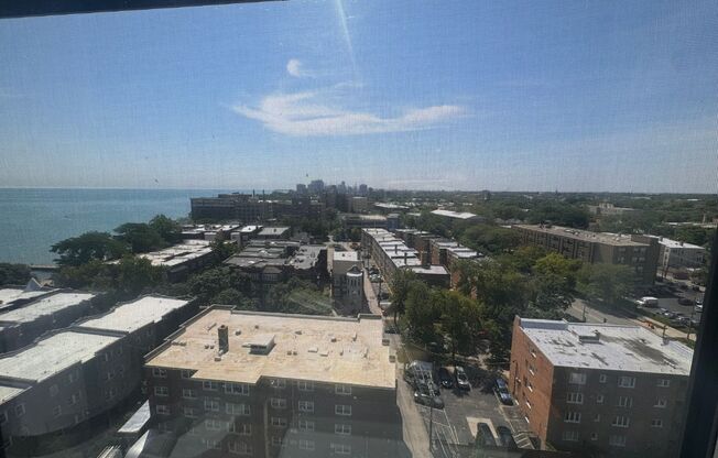 2 beds, 1 bath, 1,000 sqft, $2,300, Unit 1204