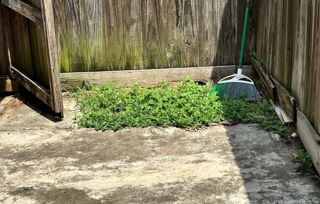 1 bed, 1 bath, 400 sqft, $650