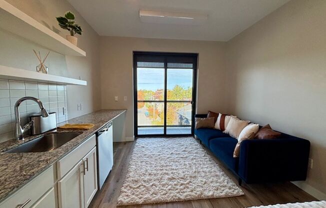Studio, 1 bath, 325 sqft, $1,100, Unit 221
