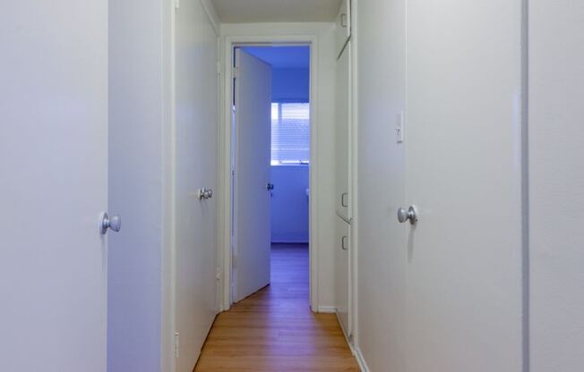 Studio, 1 bath, 375 sqft, $1,995, Unit 4