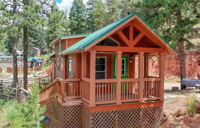 Tiny Living in Woodland Park 1 bedroom 1 bath with loft