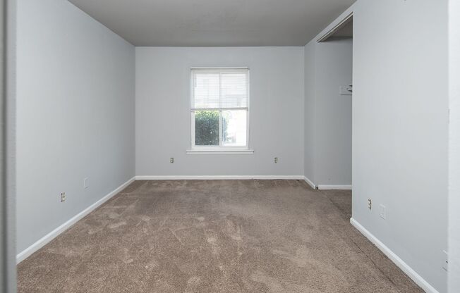 1 bed, 1 bath, 679 sqft, $1,000