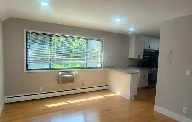 1 bed, 1 bath, $1,250, Unit 316