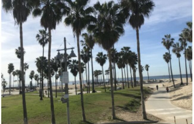 Sunny Venice Boardwalk Studio