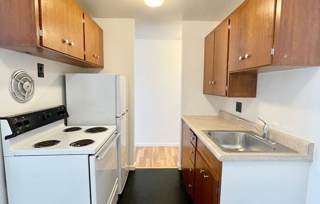 Studio, 1 bath, 464 sqft, $1,450, Unit 207
