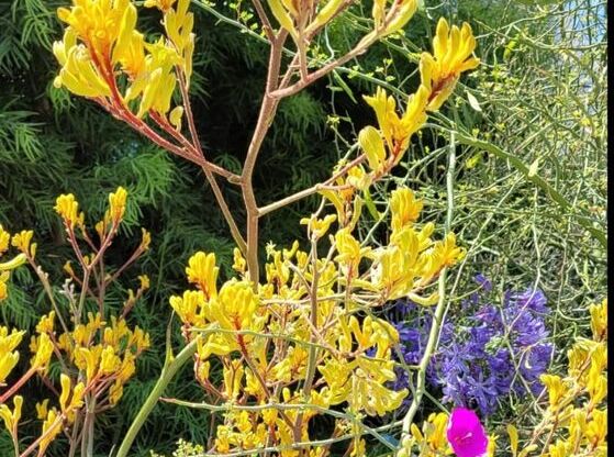 3 beds, 2.5 baths, 1,349 sqft, $4,740, Unit 205