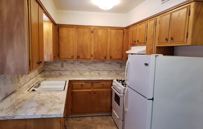 1 bed, 1 bath, $1,295, Unit 13