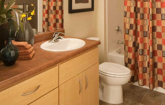 The Ramona Unit Bathroom