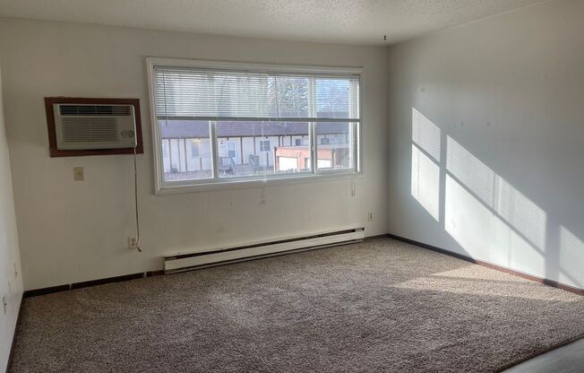 Studio, 1 bath, 325 sqft, $525, Unit 1929-17