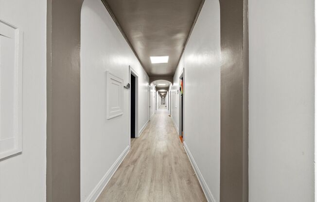 Studio, 1 bath, 325 sqft, $1,250, Unit 203