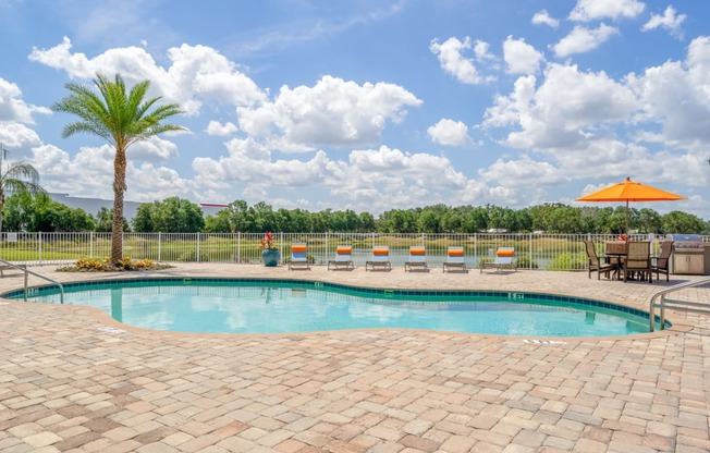 swimming pool with chairs and a palm tree