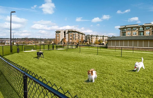 Bark Park at Residence at Riverwatch, Agusta, GA, 30909