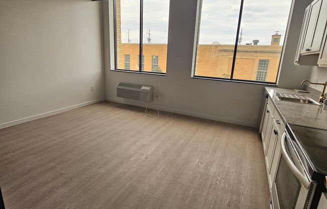 Studio, 1 bath, 329 sqft, $1,050, Unit 205