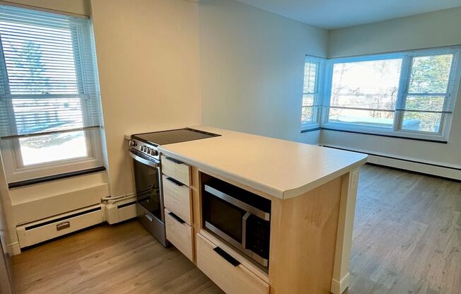 1 bed, 1 bath, 488 sqft, $1,250, Unit 203