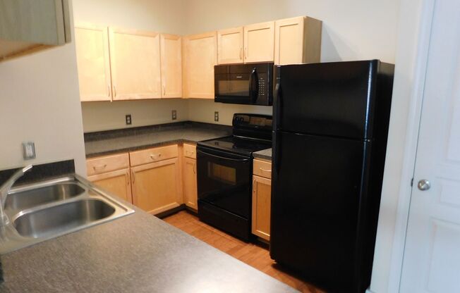 1 bed, 1 bath, $1,259, Unit # 414