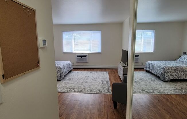 Studio, 1 bath, $980, Unit 203