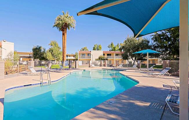A pool surrounded by chairs and a palm tree.