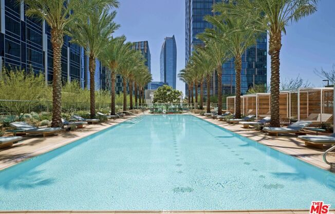 Studio, 1 bath, 480 sqft, $2,500, Unit 2305