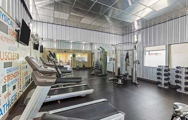 A gym with treadmills, weights and exercise equipment.
