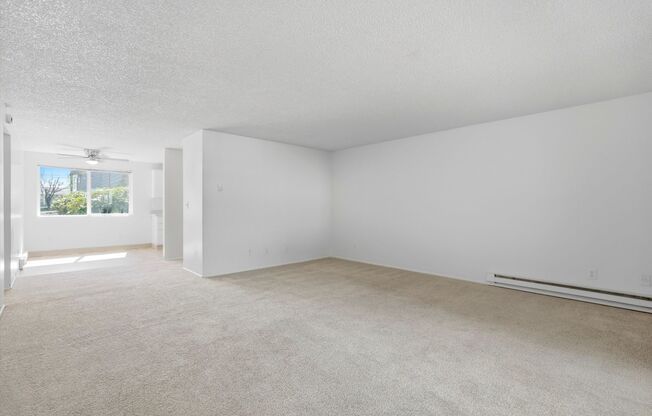 2 beds, 1 bath, 1,000 sqft, $1,350, Unit 31