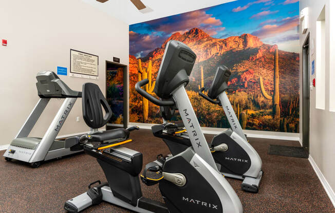 two exercise bikes in a gym with a wall mural of mountains