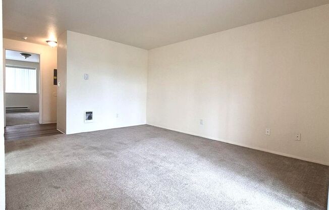1 bed, 1 bath, 622 sqft, $1,499, Unit 331