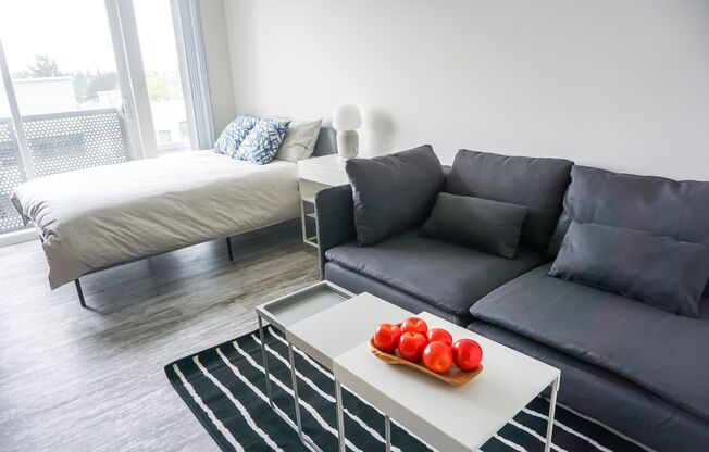 Studio, 1 bath, 339 sqft, $1,799, Unit 406