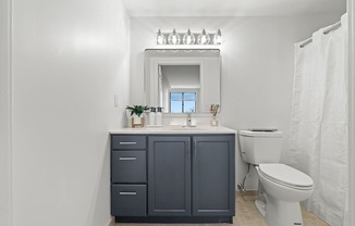 A bathroom with a white toilet and a mirror above a sink.