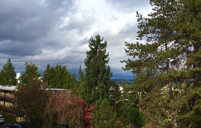1 bed, 1 bath, 750 sqft, $2,060, Unit 102