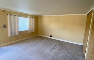 1 bed, 1 bath, $1,600, Unit #310