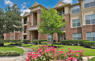 Madison on the Meadow Stafford Apartments