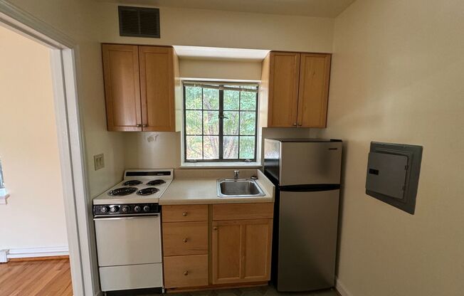 Studio, 1 bath, 380 sqft, $1,100, Unit Unit B6