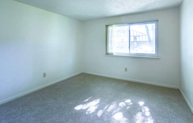 Liberty Square Apartments – Two-bedroom, One-full Bath Unit in Amherst New York – Closet - Ask for a Tour - Pet Friendly