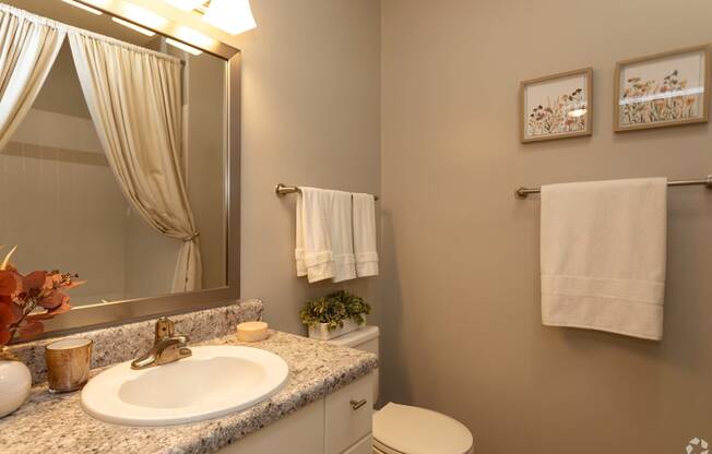 A bathroom with a sink, toilet, and a mirror.