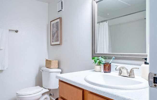a bathroom with a sink and a toilet and a mirror